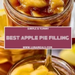 Best Apple Pie Filling (2)