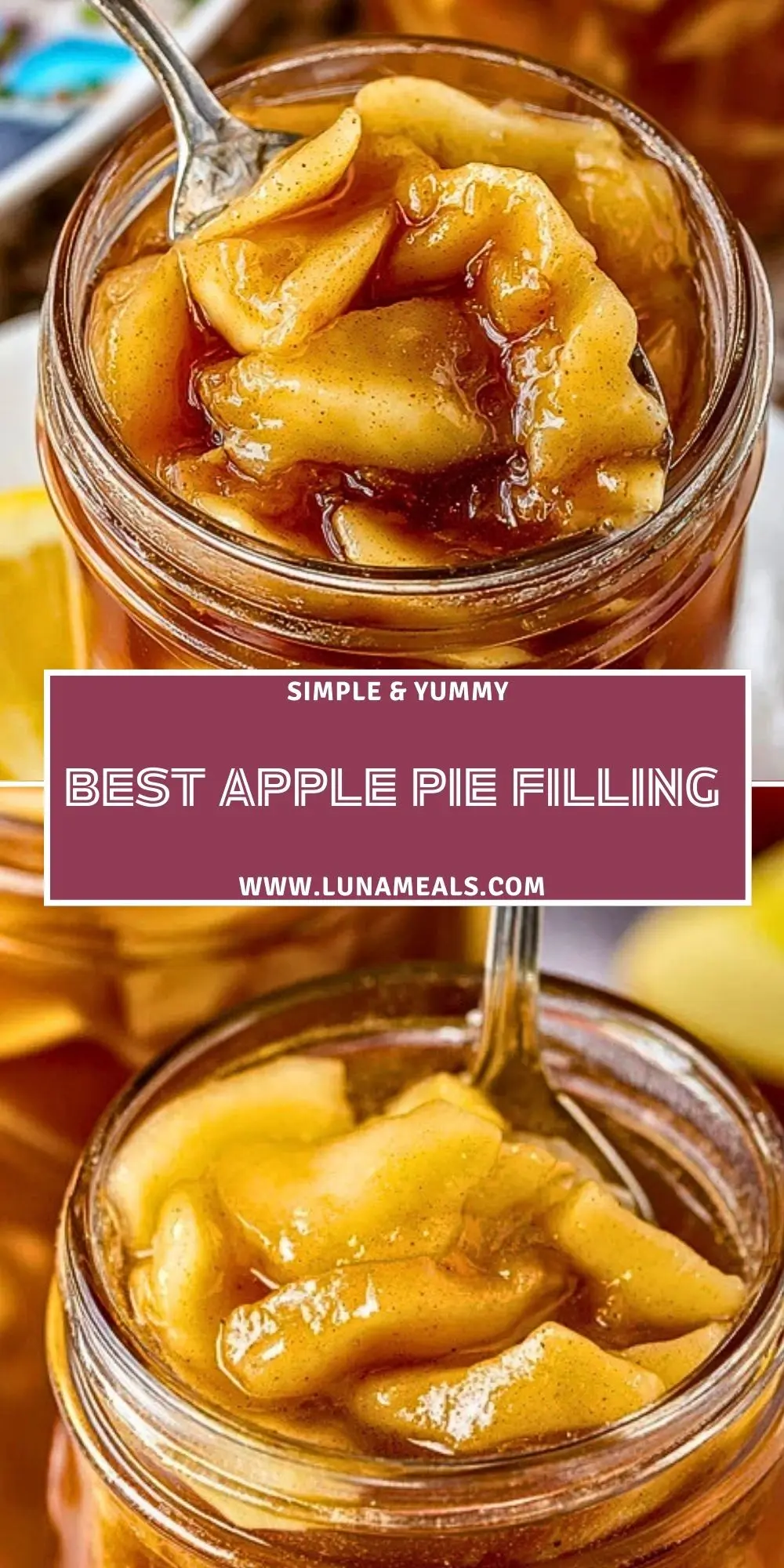 Best Apple Pie Filling (2)