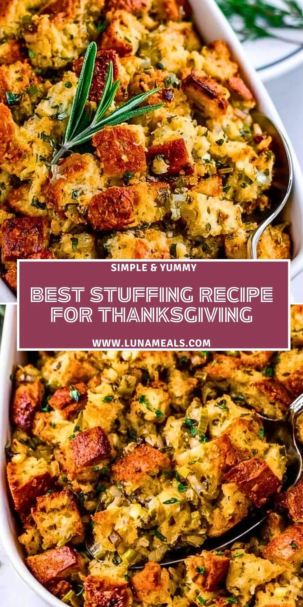 Best Stuffing Recipe for Thanksgiving (2)