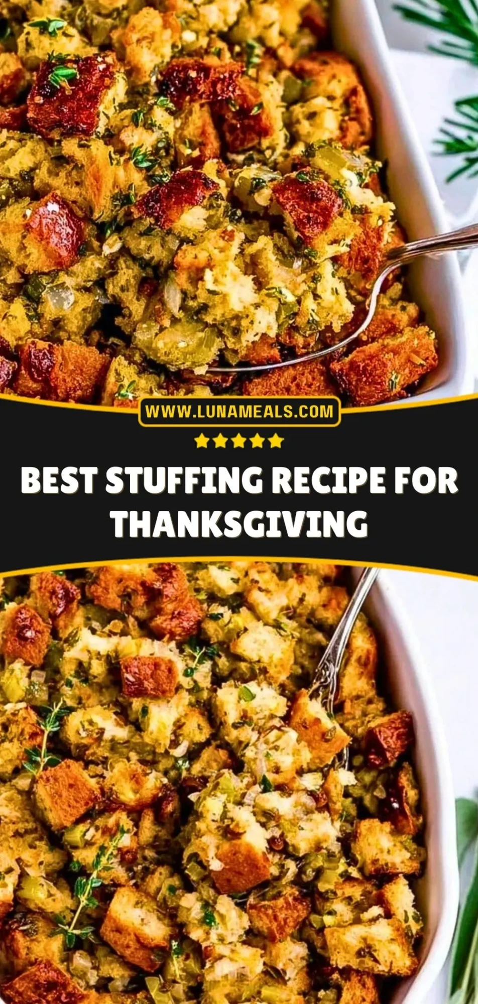 Best Stuffing Recipe for Thanksgiving (3)
