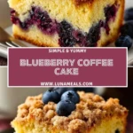 Blueberry Coffee Cake (2)