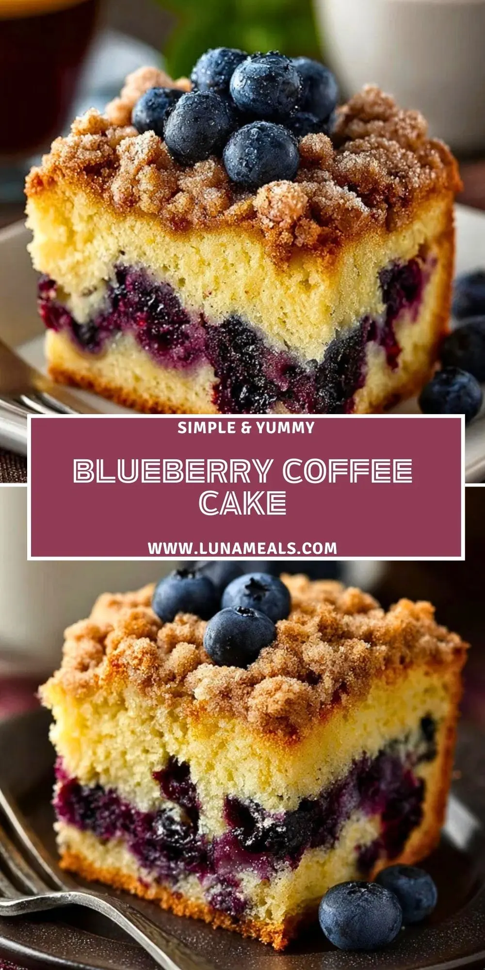 Blueberry Coffee Cake (2)