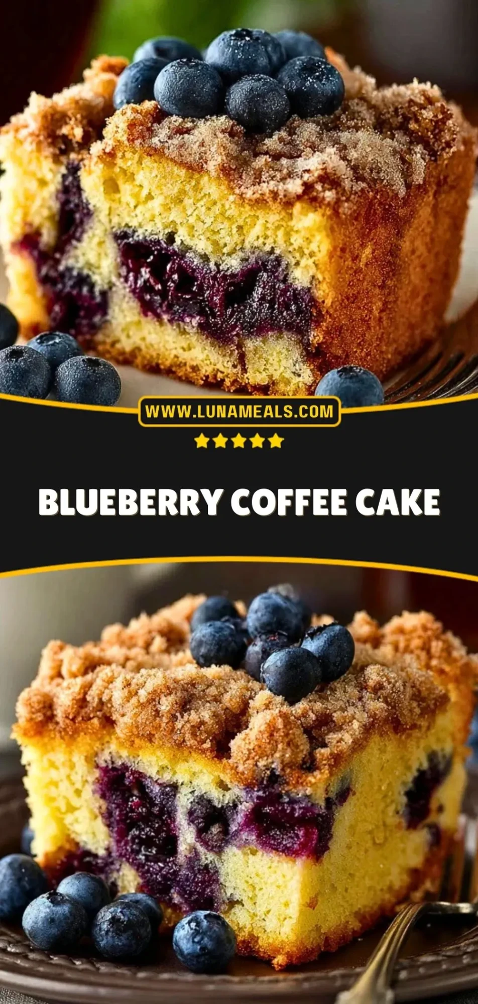 Blueberry Coffee Cake (3)