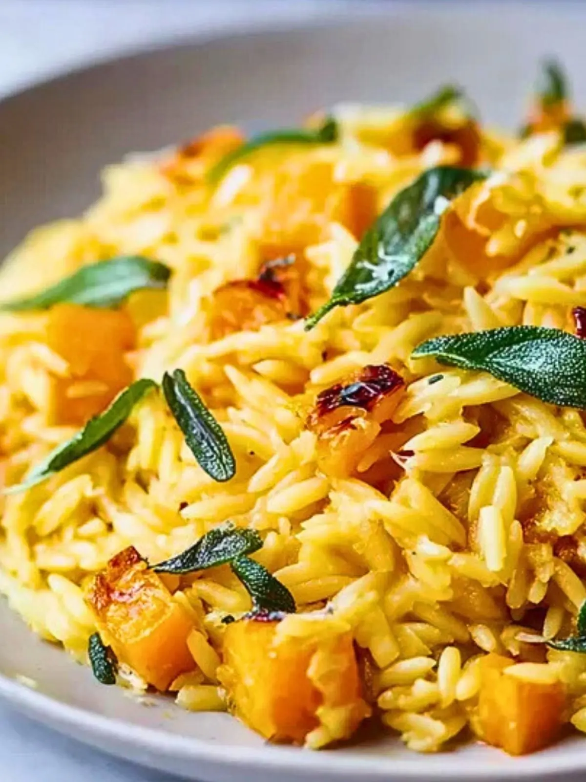 Butternut Squash & Sage Orzo (1)