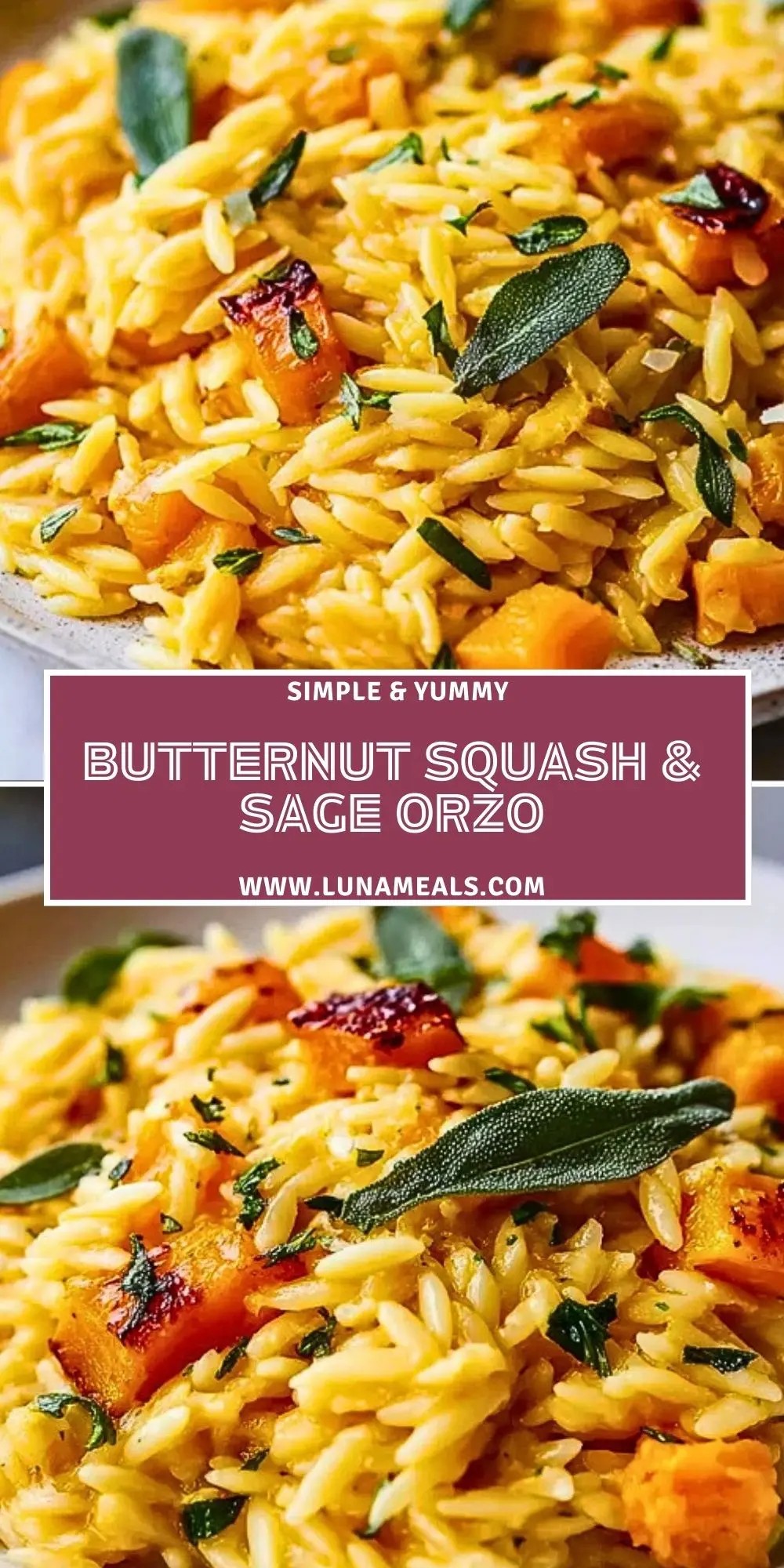 Butternut Squash & Sage Orzo (2)
