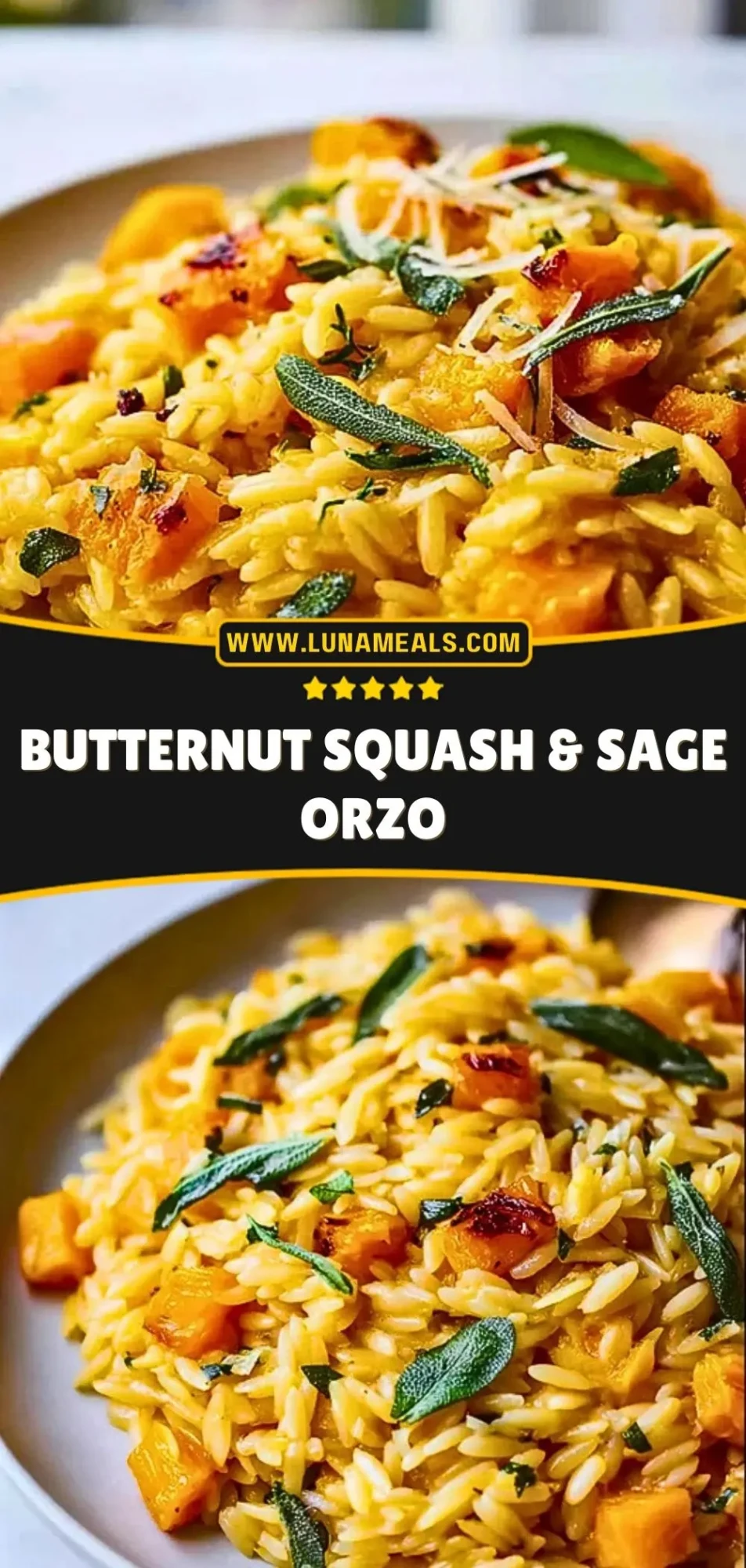 Butternut Squash & Sage Orzo (3)