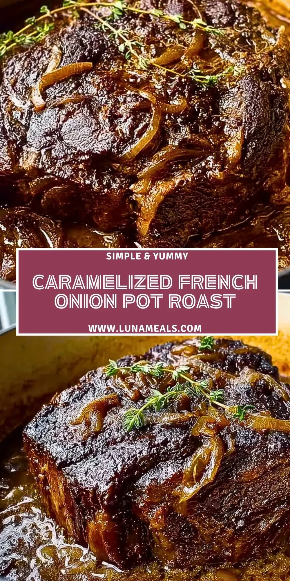 Caramelized French Onion Pot Roast (2)