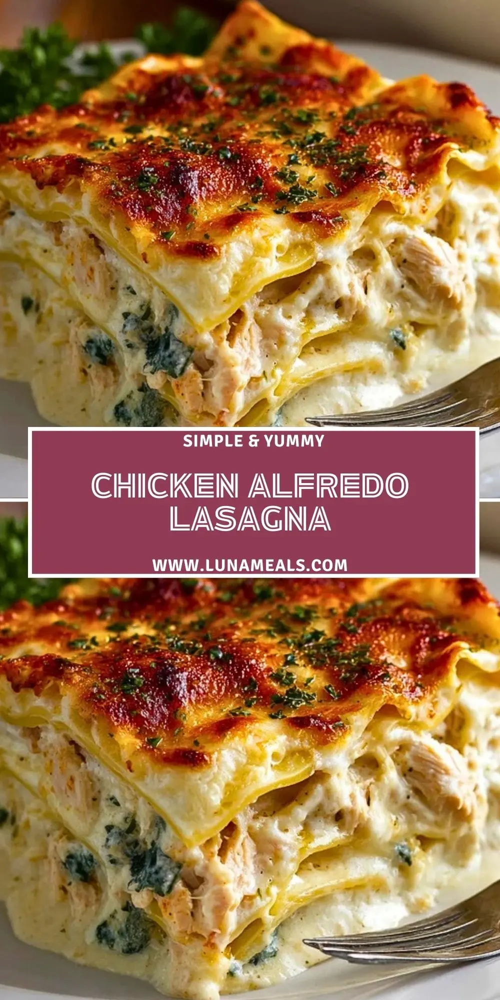 Chicken Alfredo Lasagna (2)