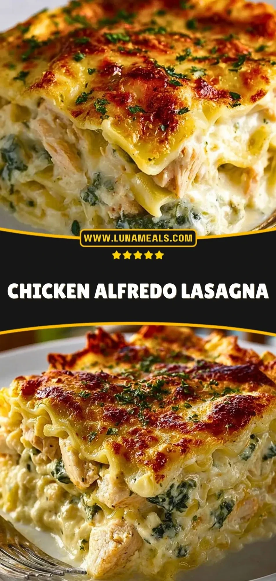Chicken Alfredo Lasagna (3)