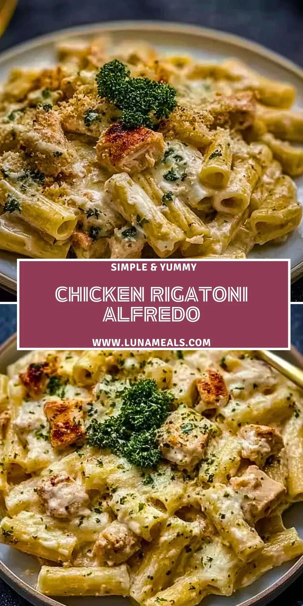 Chicken Rigatoni Alfredo (2)
