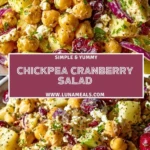 Chickpea Cranberry Salad (2)