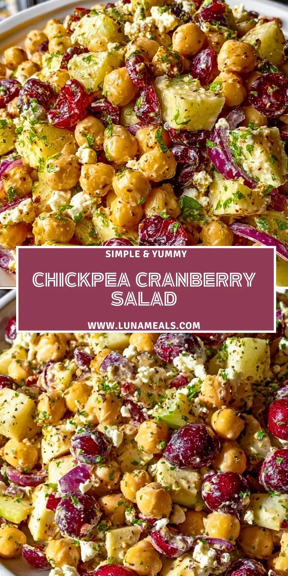 Chickpea Cranberry Salad (2)