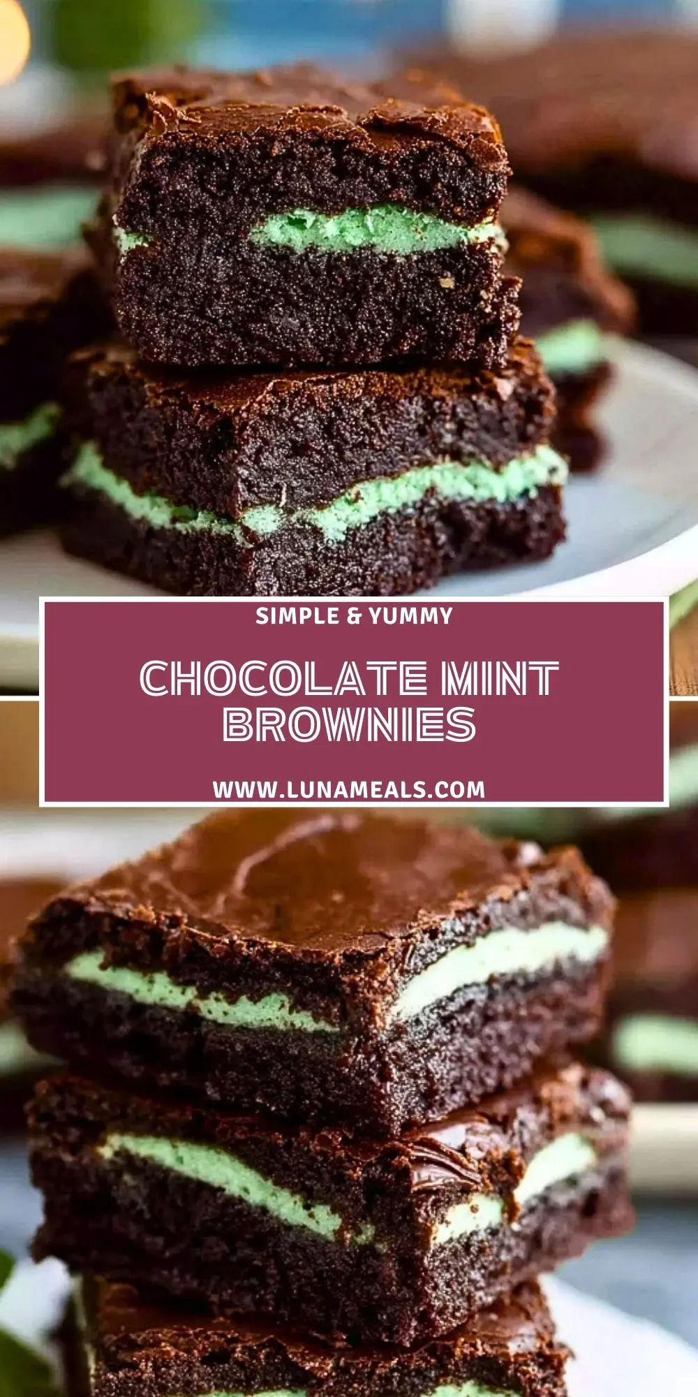 Chocolate Mint Brownies (2)