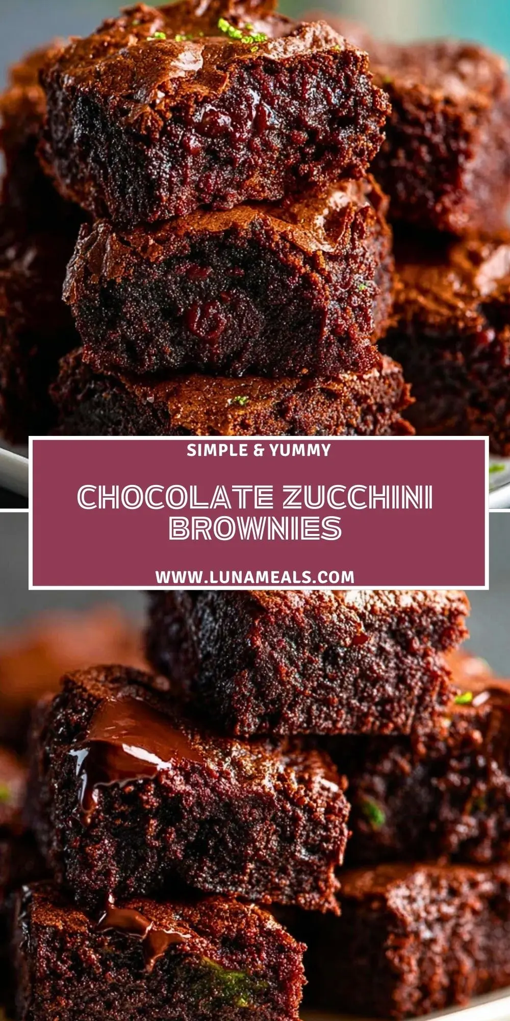 Chocolate Zucchini Brownies (2)