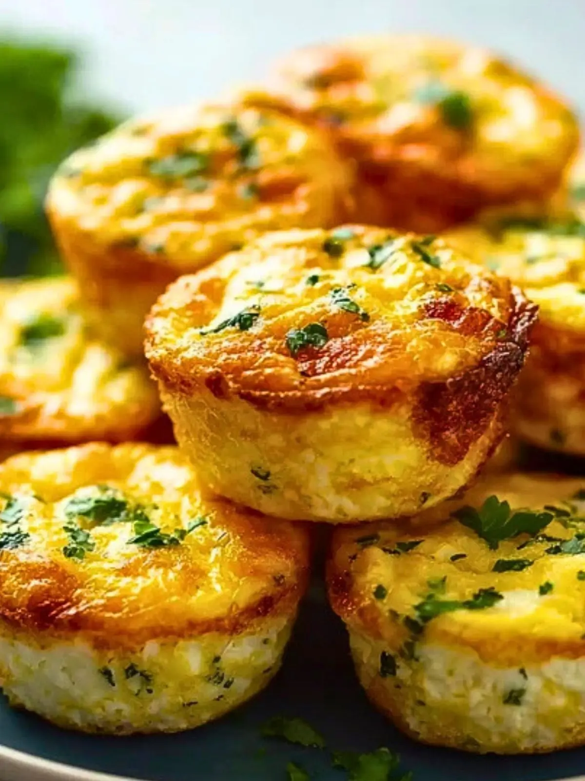 Cottage Cheese Egg Bites (1)