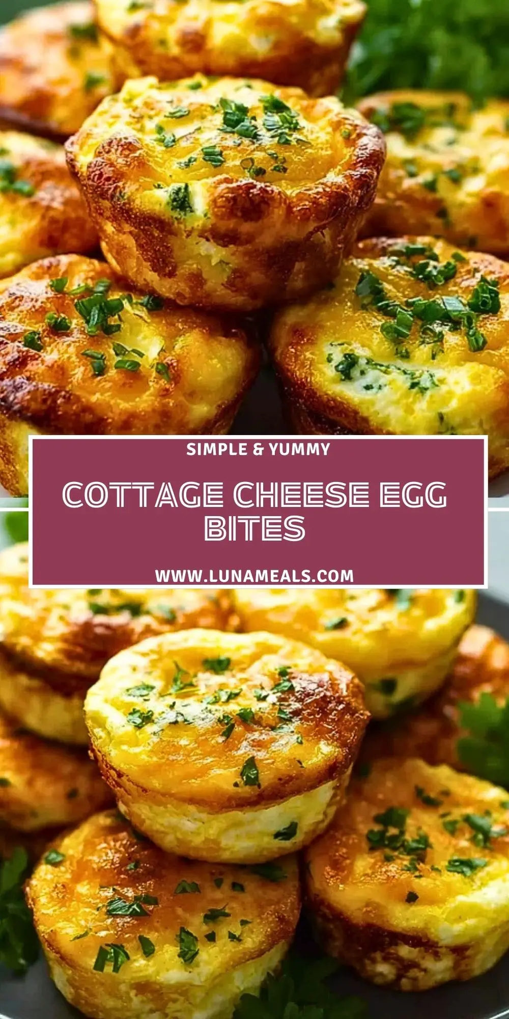Cottage Cheese Egg Bites (2)