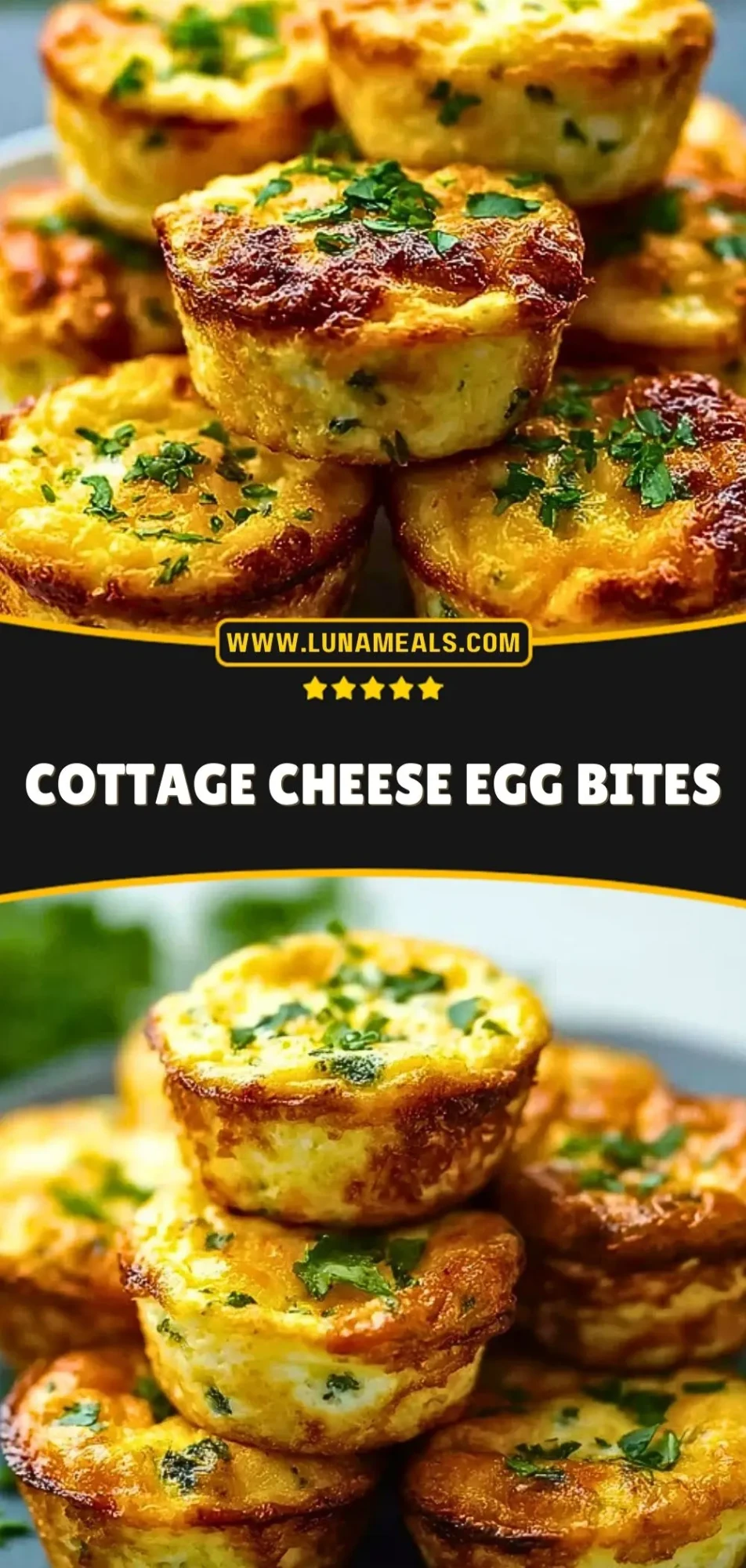 Cottage Cheese Egg Bites (3)