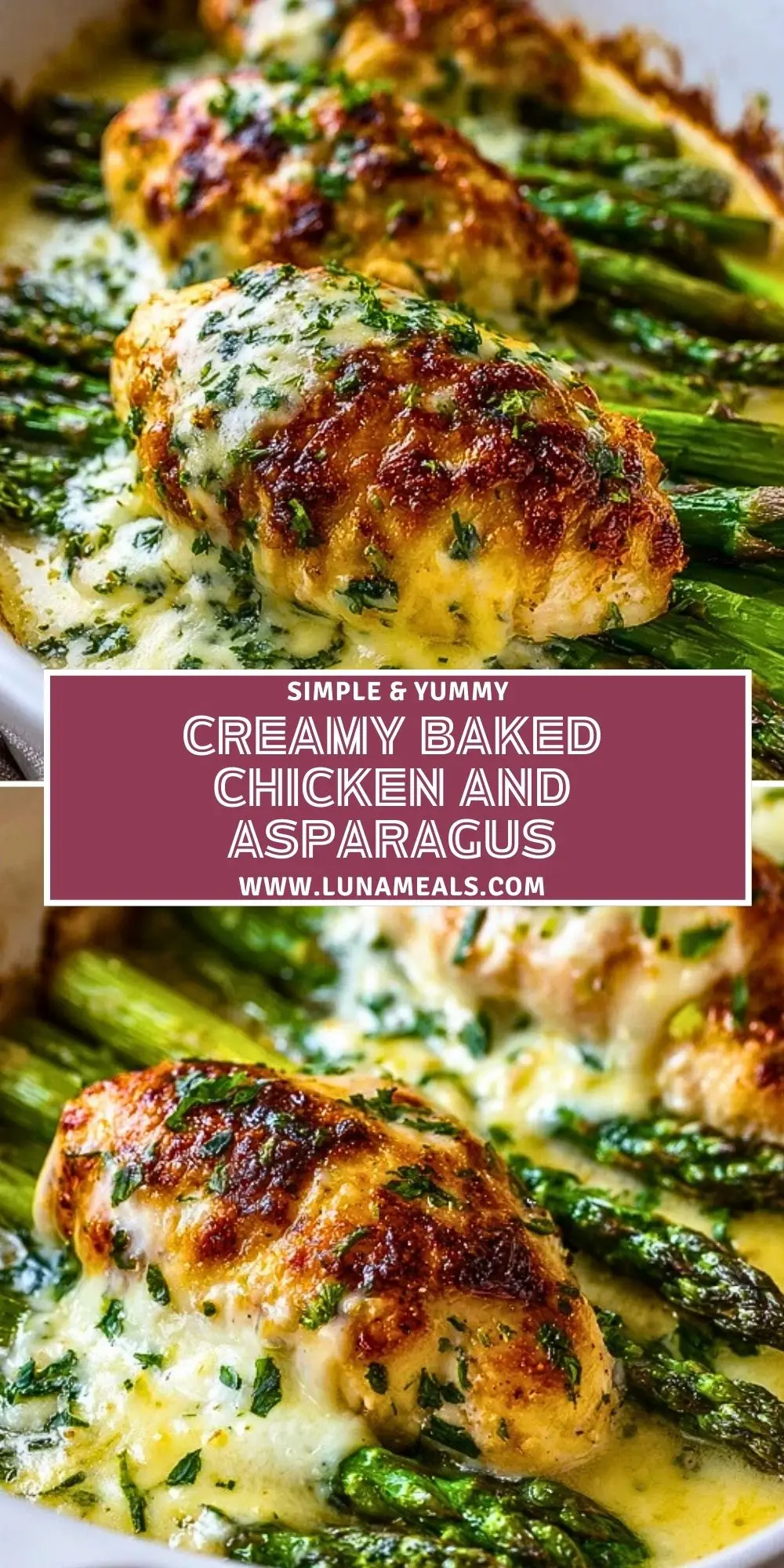 Creamy Baked Chicken and Asparagus (2)