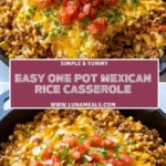 Easy One Pot Mexican Rice Casserole (2)