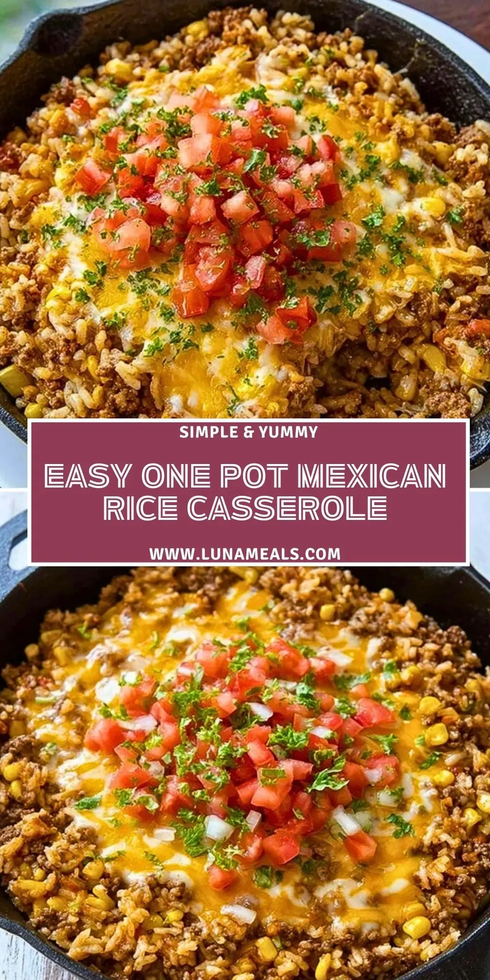 Easy One Pot Mexican Rice Casserole (2)
