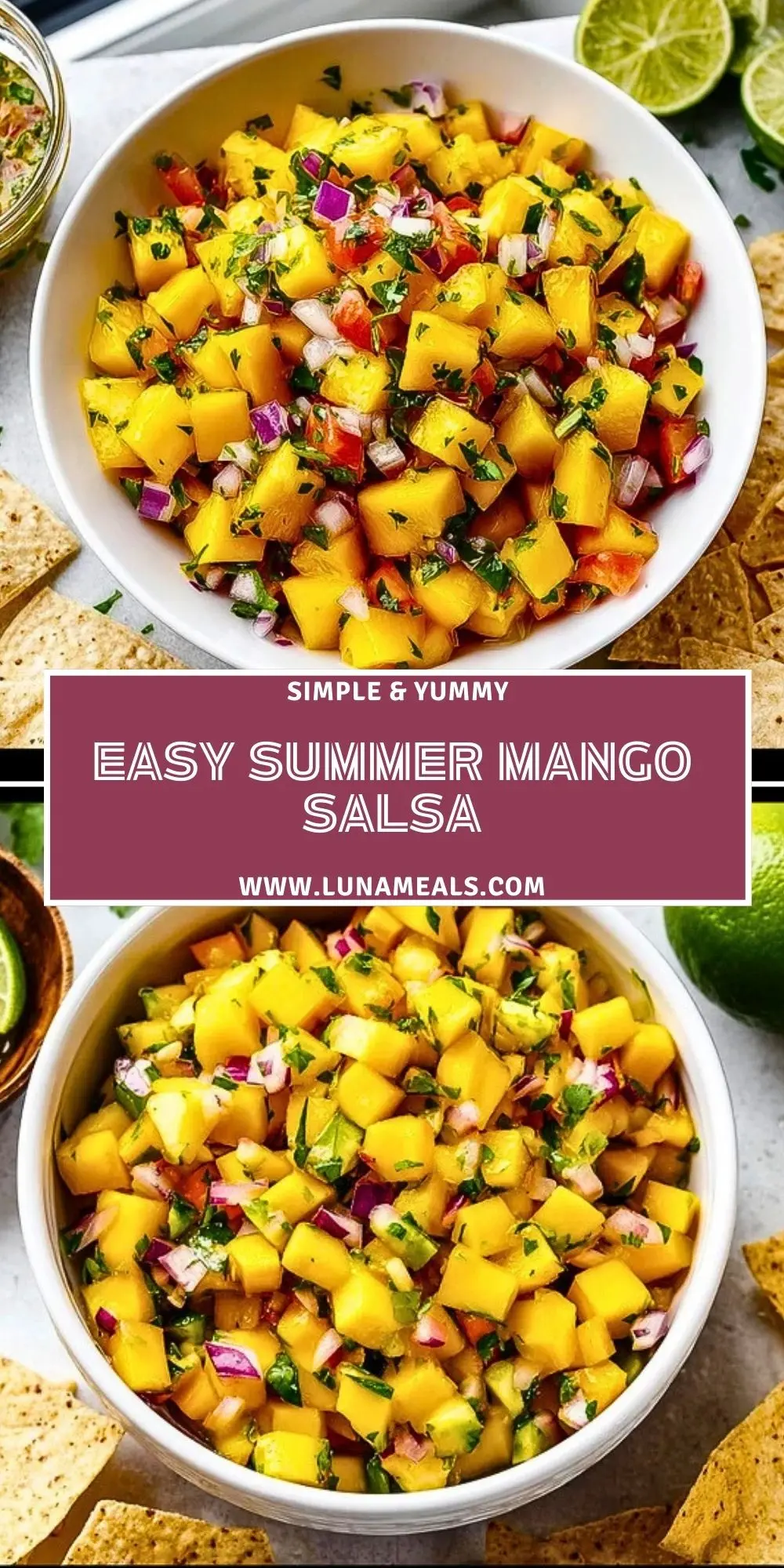 Easy Summer Mango Salsa (2)