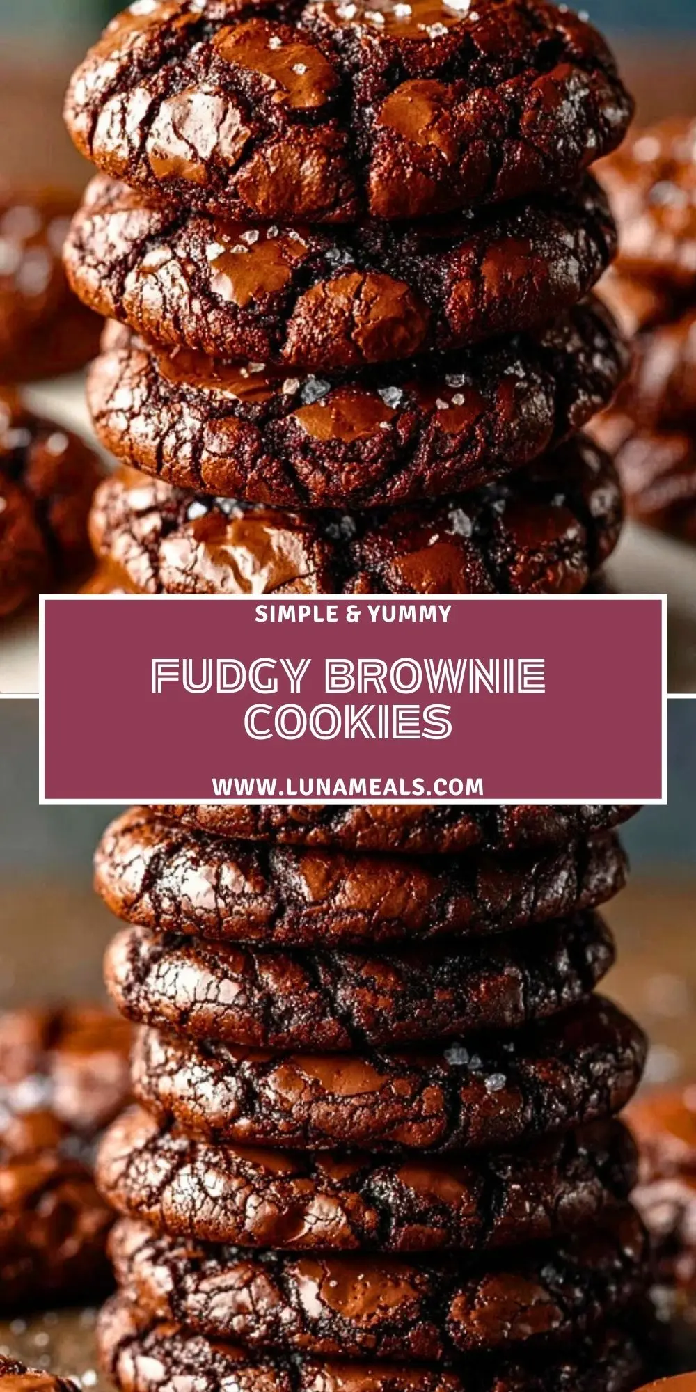 Fudgy Brownie Cookies (2)