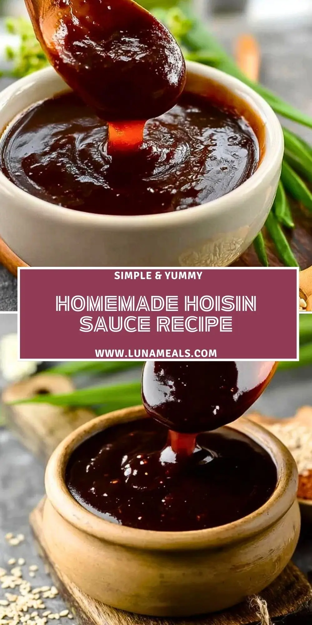 Homemade Hoisin Sauce Recipe (2)