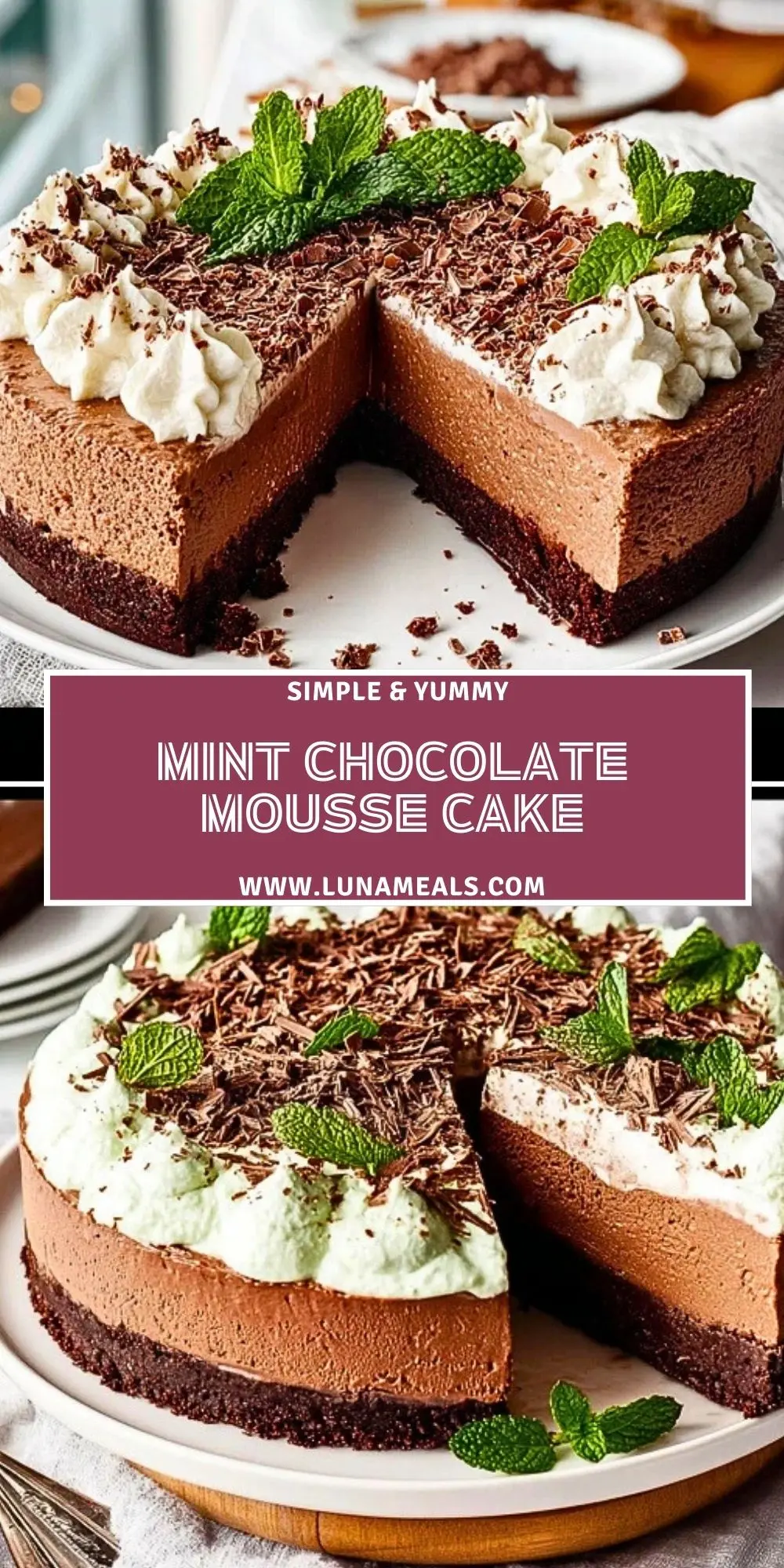 Mint Chocolate Mousse Cake (2)