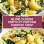 Olive Garden Copycat Chicken Gnocchi Soup (2)