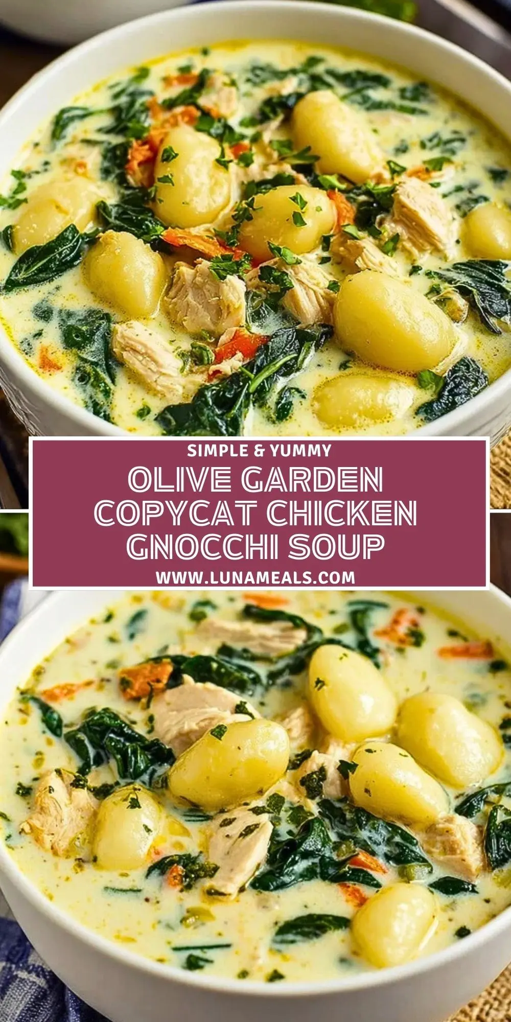 Olive Garden Copycat Chicken Gnocchi Soup (2)