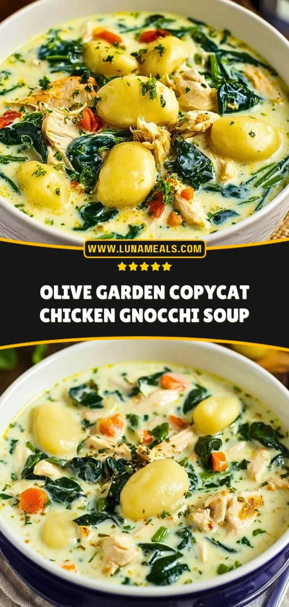 Olive Garden Copycat Chicken Gnocchi Soup (3)