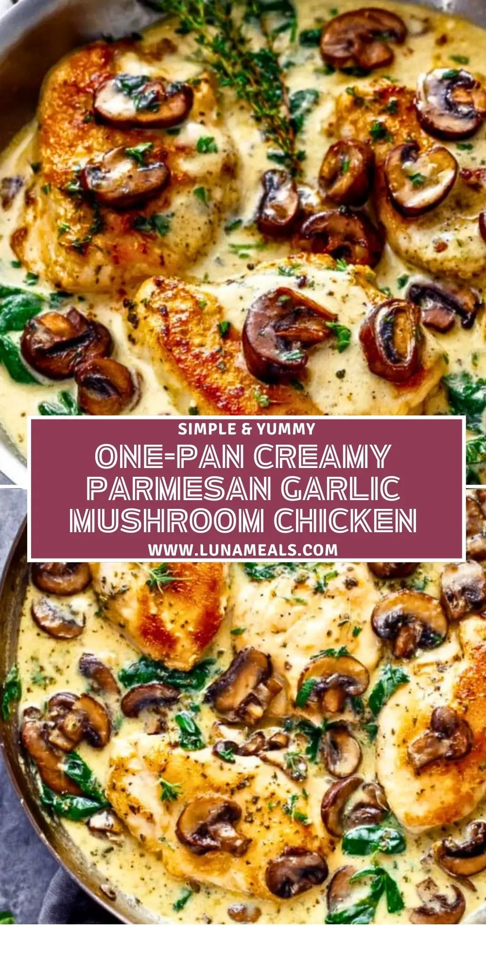 One-Pan Creamy Parmesan Garlic Mushroom Chicken (2)