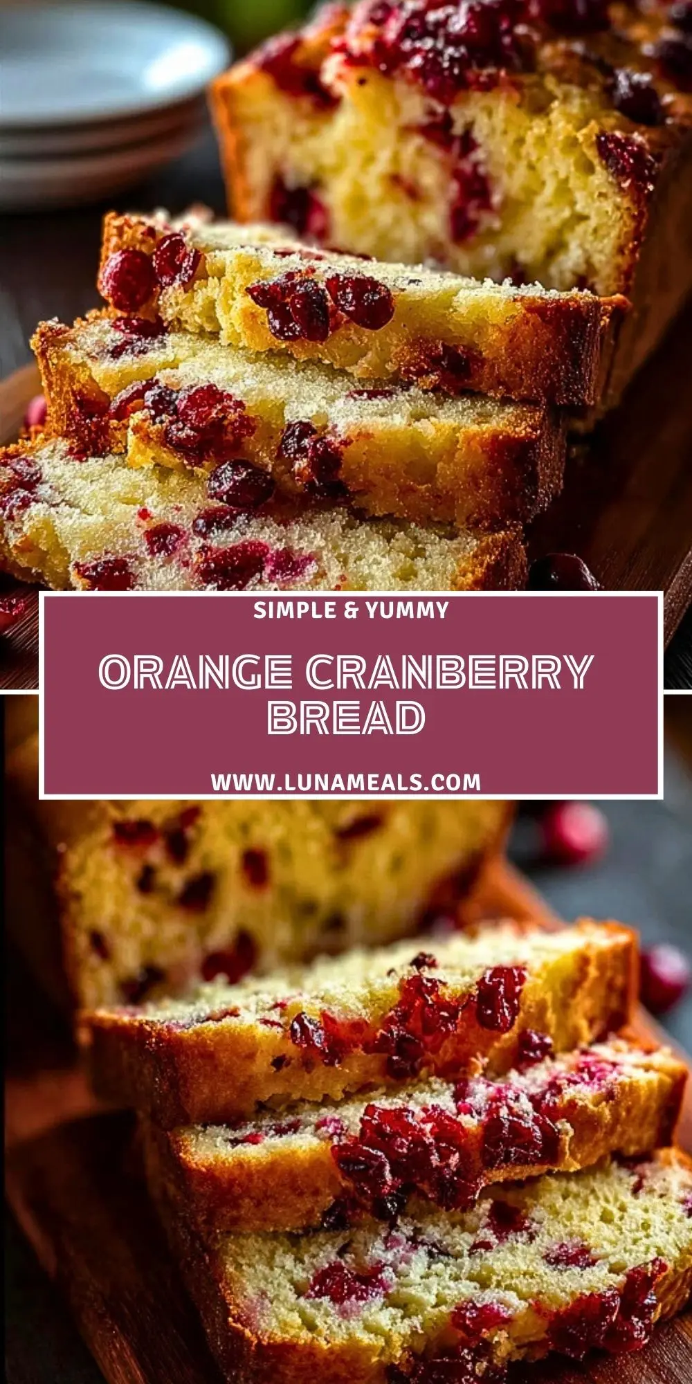 Orange Cranberry Bread (2)