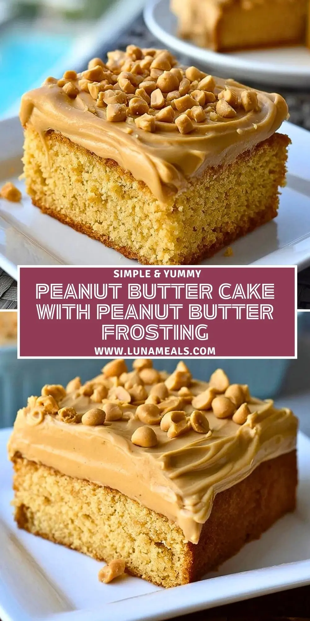 Peanut Butter Cake with Peanut Butter Frosting (2)