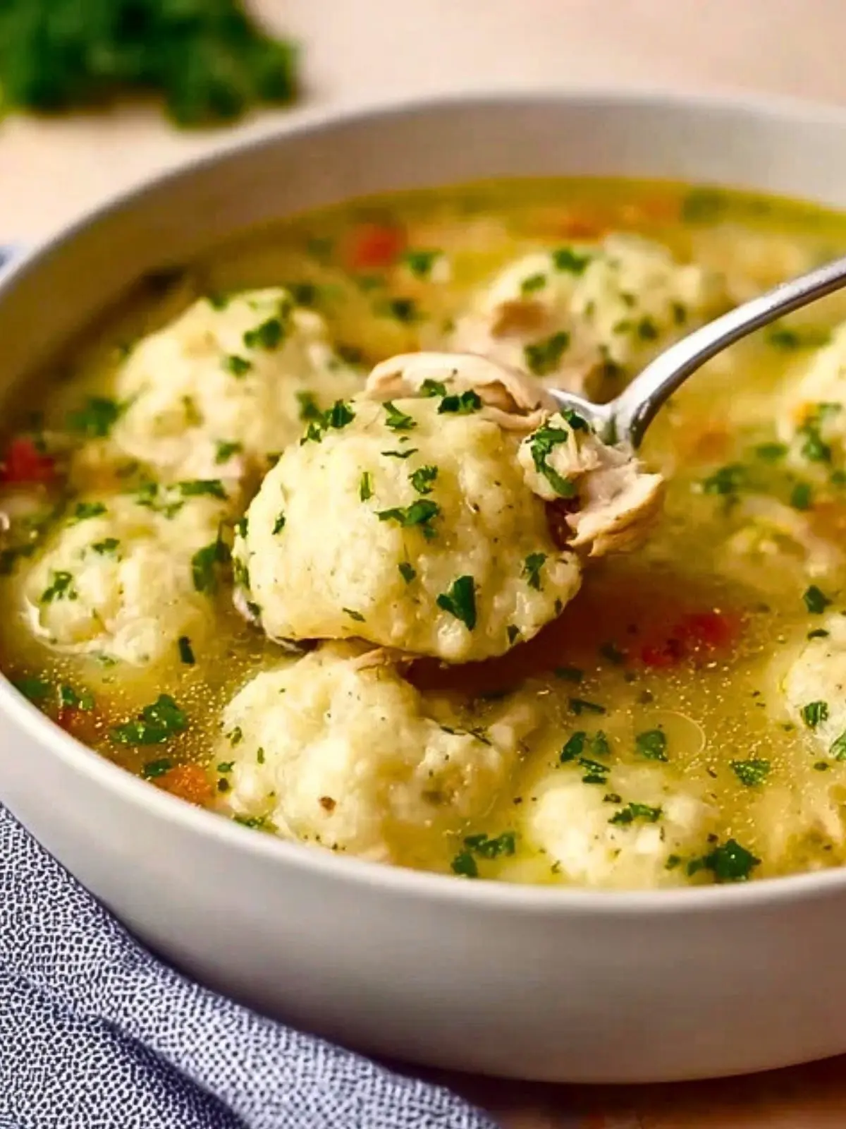 Perfect Chicken And Dumplings With Vegetables (1)