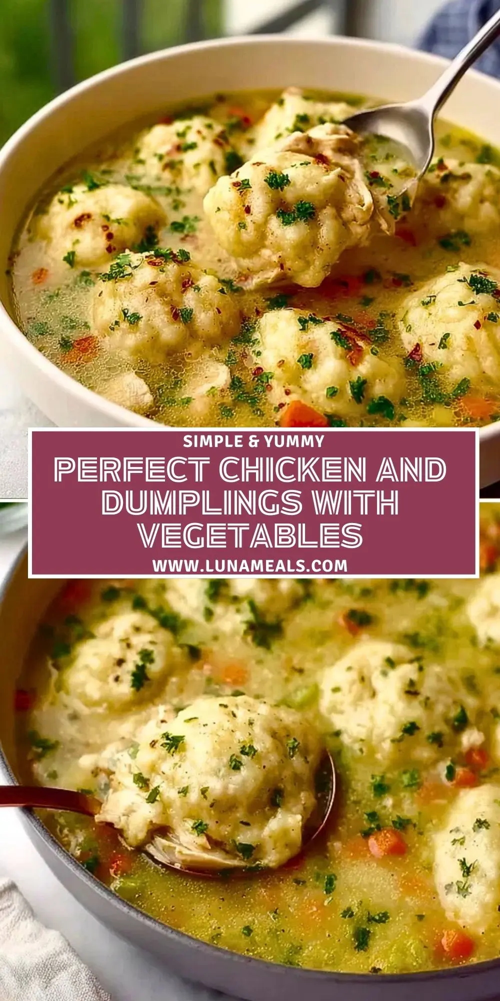 Perfect Chicken And Dumplings With Vegetables (2)