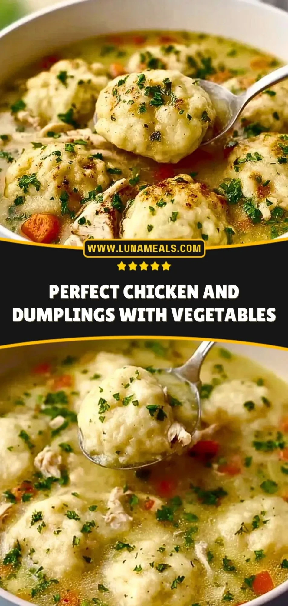 Perfect Chicken And Dumplings With Vegetables (3)