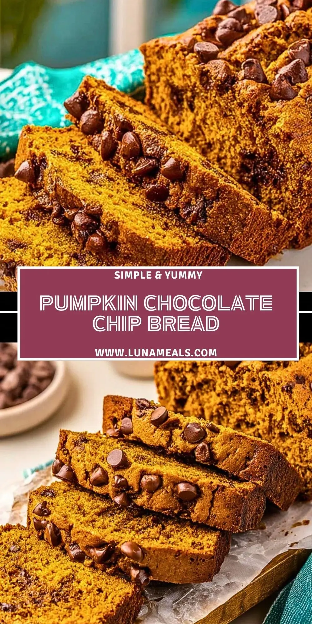 Pumpkin Chocolate Chip Bread (2)