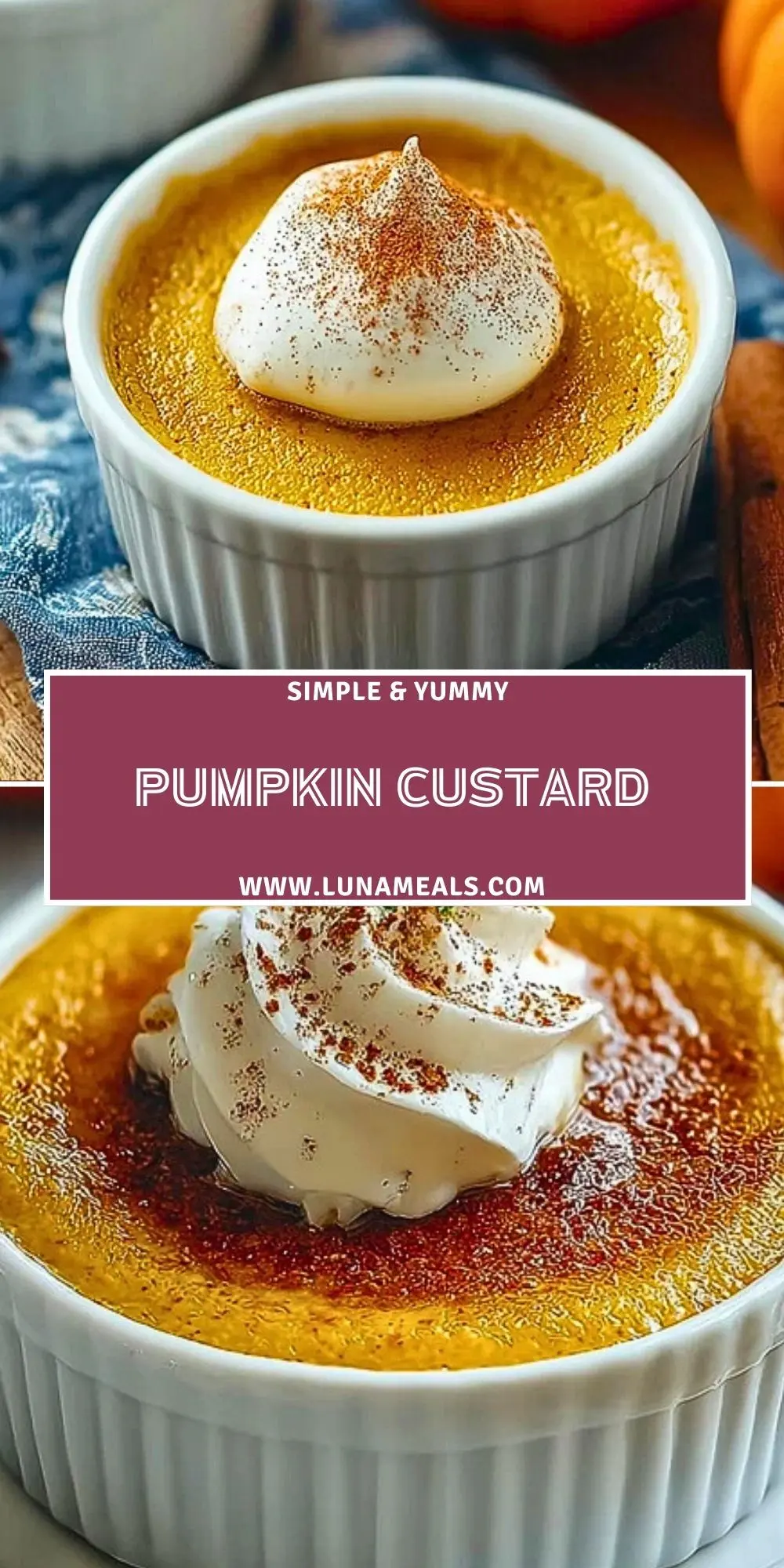 Pumpkin Custard (2)