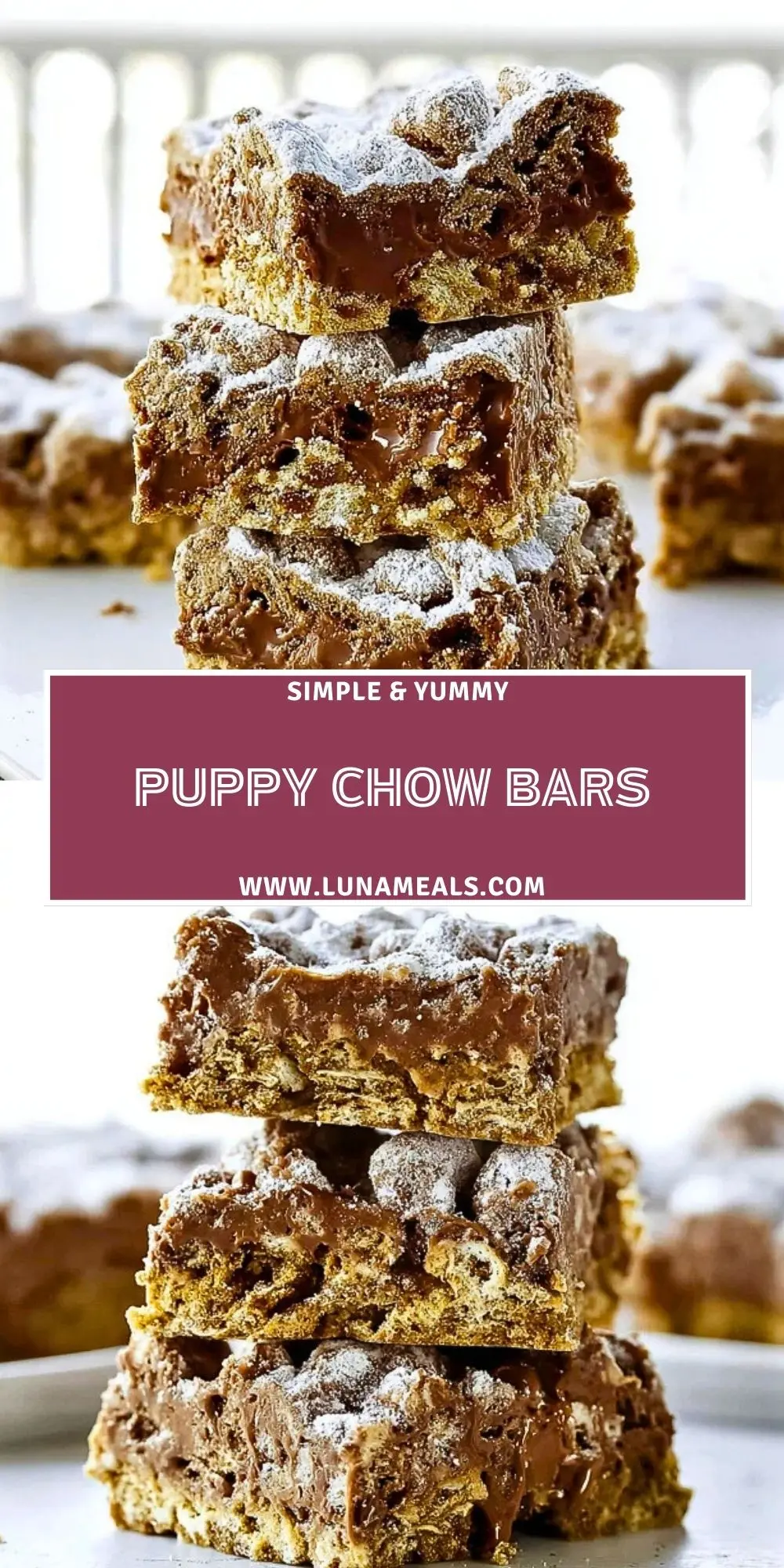 Puppy Chow Bars (2)