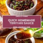 Quick Homemade Teriyaki Sauce (2)