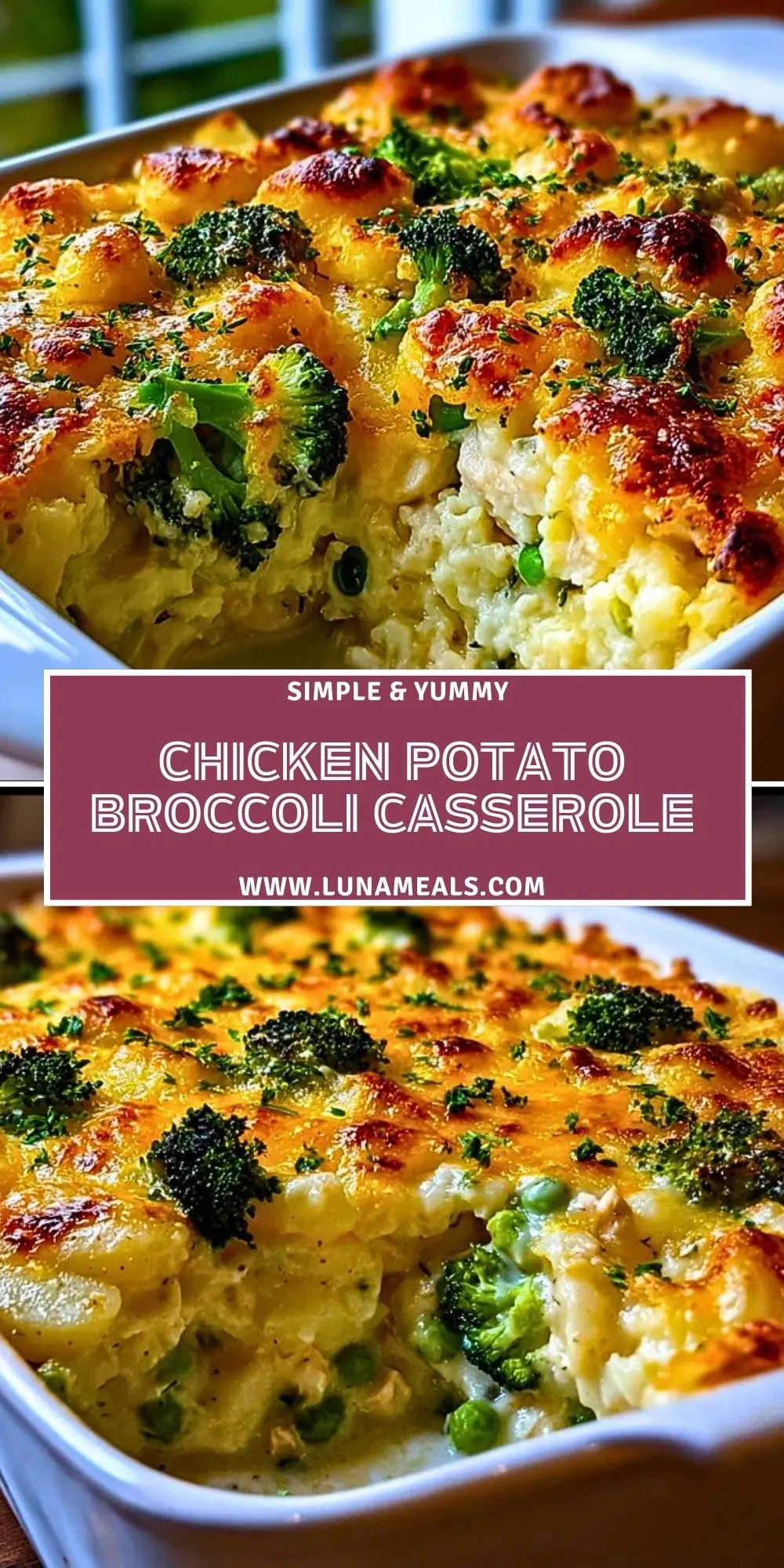 Slow Cooker Creamy Mushroom Soup (4)