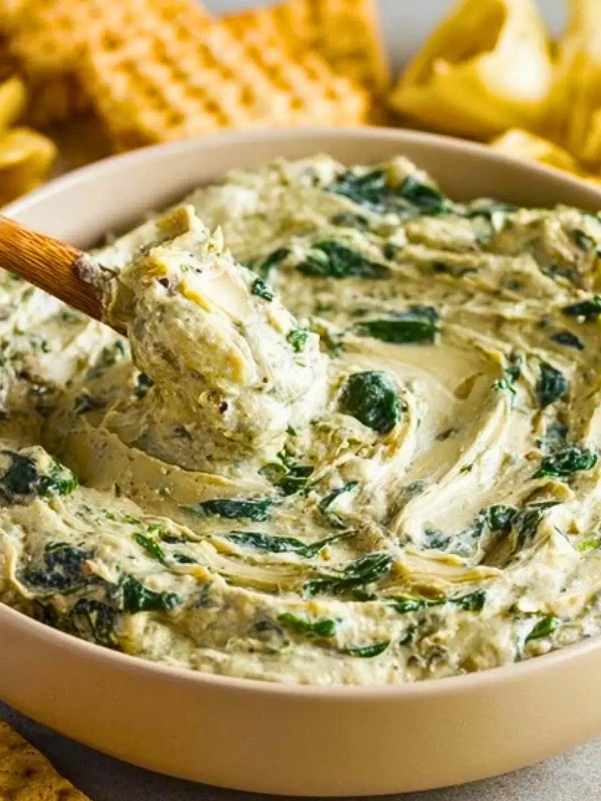 Spinach and Artichoke Dip (1)