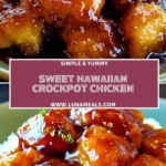 Sweet Hawaiian Crockpot Chicken (2)