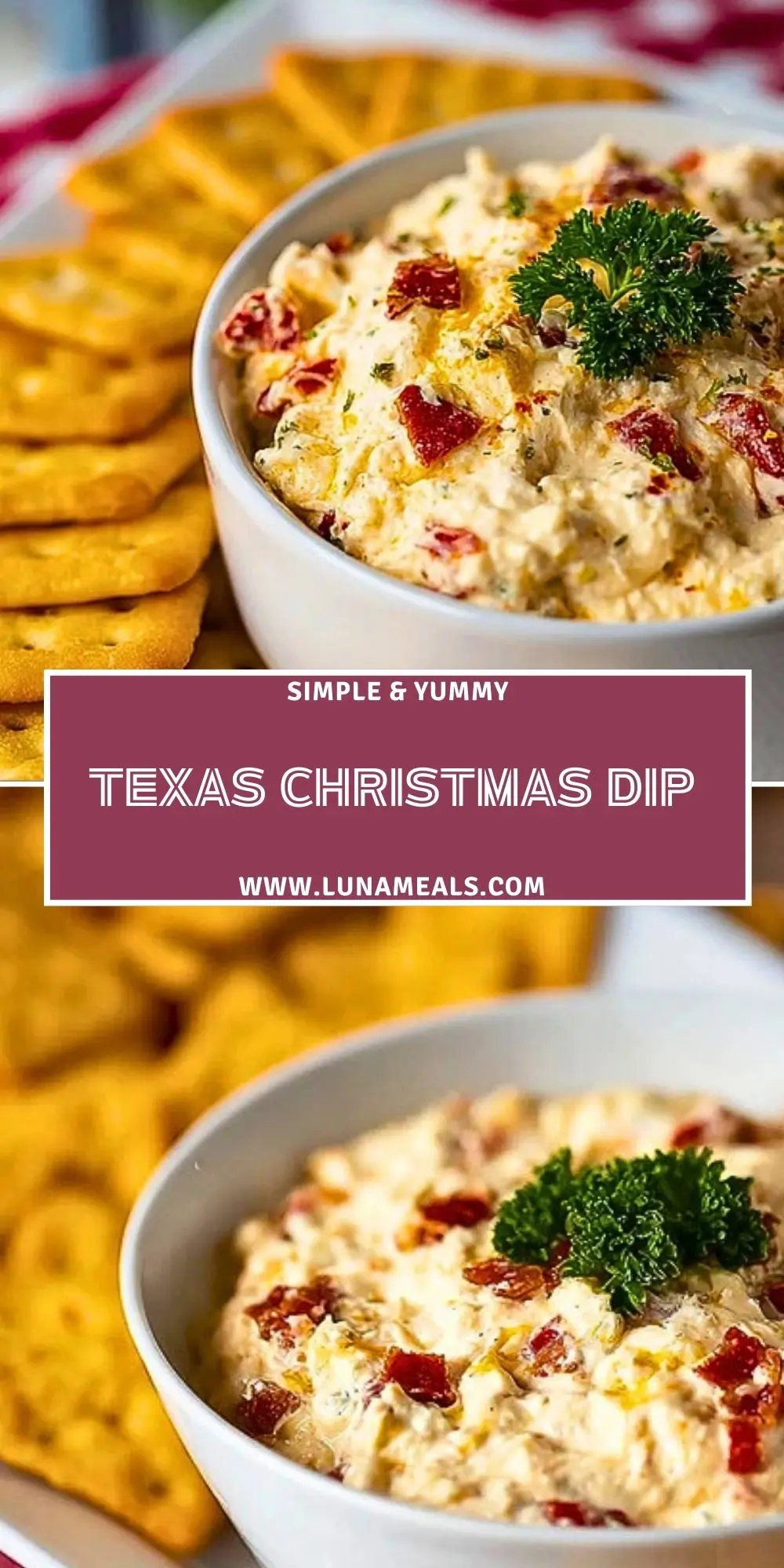 Texas Christmas Dip (2)