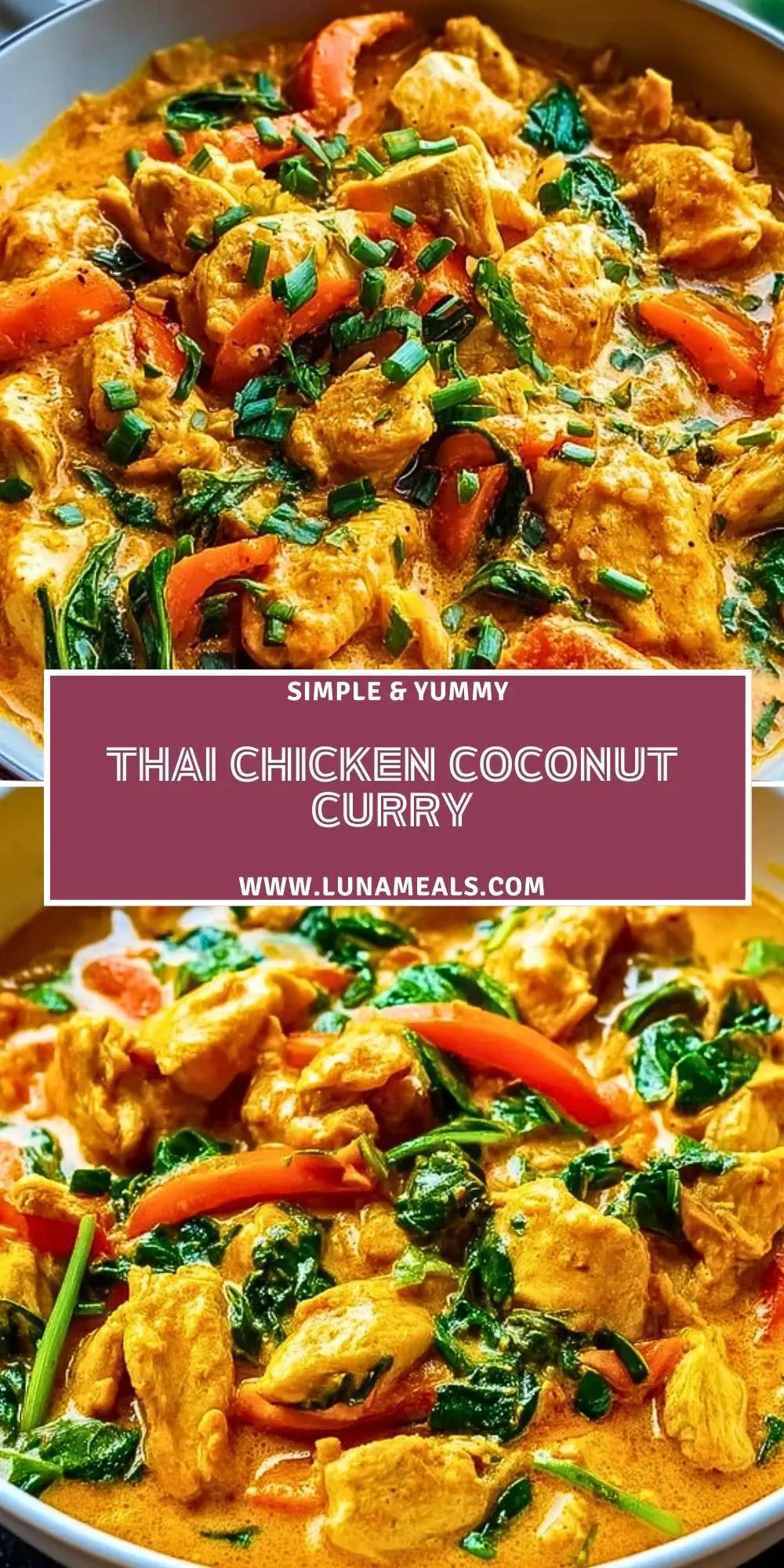 Thai Chicken Coconut Curry (2)