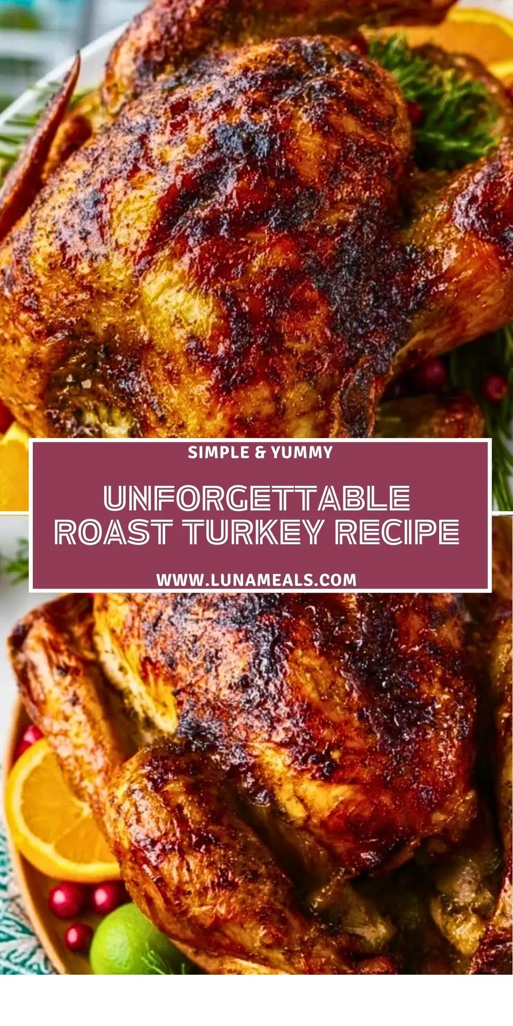 Unforgettable Roast Turkey Recipe (2)