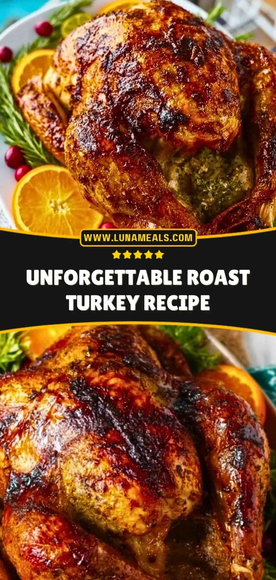 Unforgettable Roast Turkey Recipe (3)