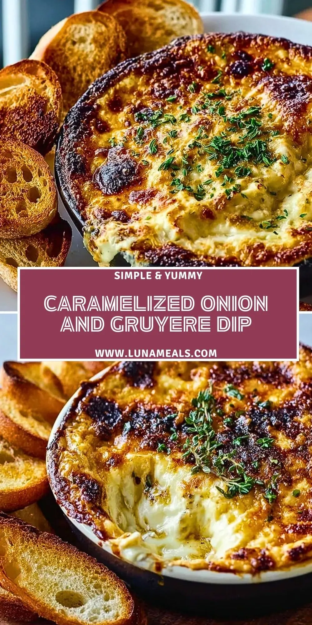 Caramelized Onion and Gruyere Dip (2)