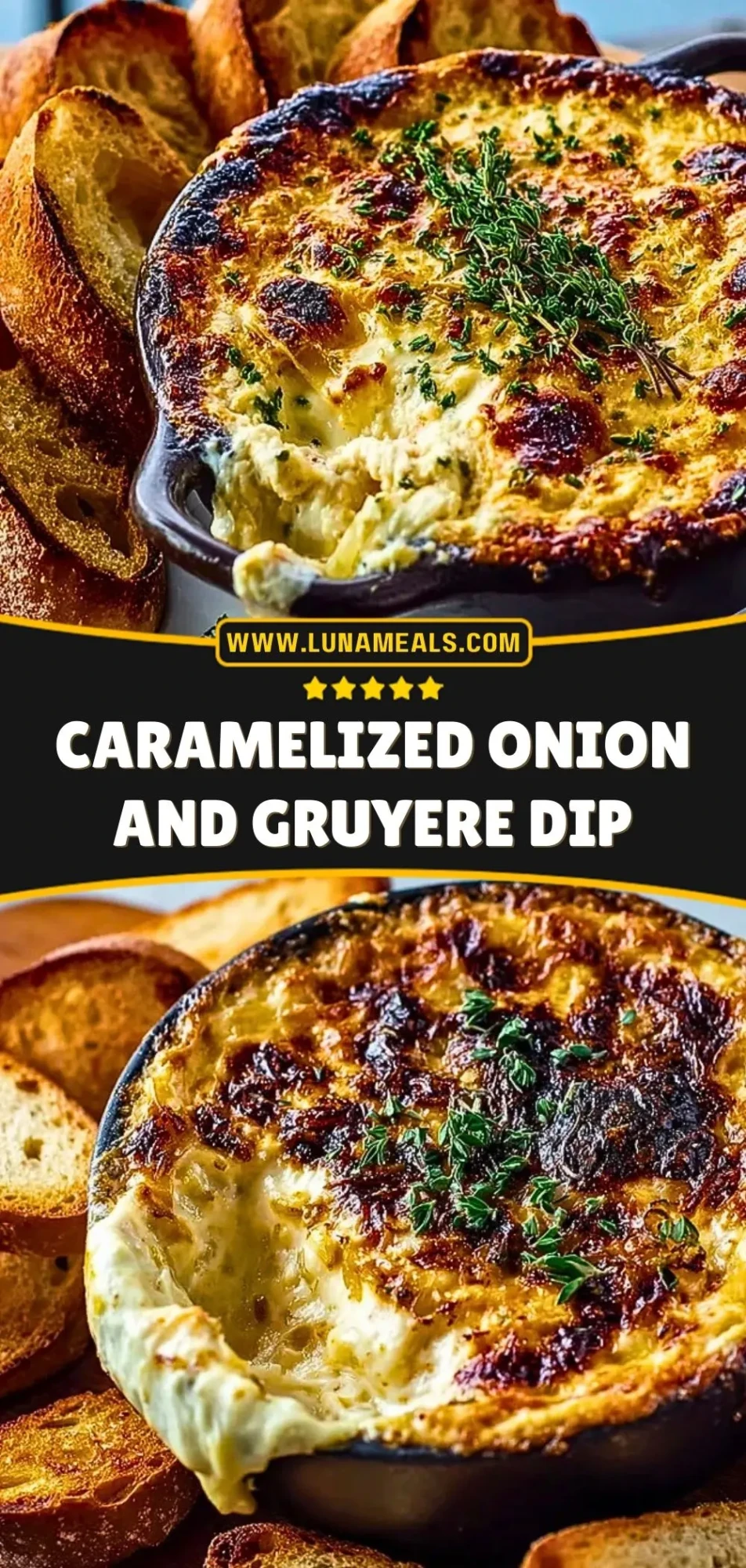 Caramelized Onion and Gruyere Dip (3)